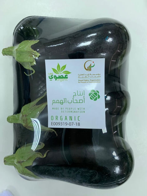 Picture of Organic Eggplant 