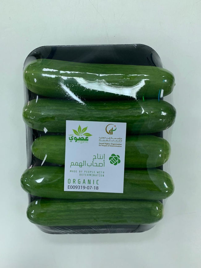 صورة خيار عضوي
