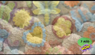 Picture of Natural soap for gifts and distributions