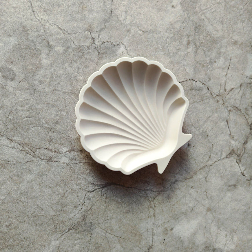 صورة Aquatic Aura Shell Tray