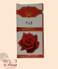 Picture of Natural rose oil