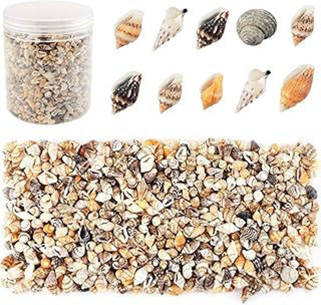 Picture of Tervi seashell beads, small seashells, ocean shore spiral seashells, artisanal pendants for home decoration