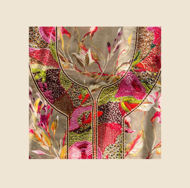 Picture of Cotton Makhour 