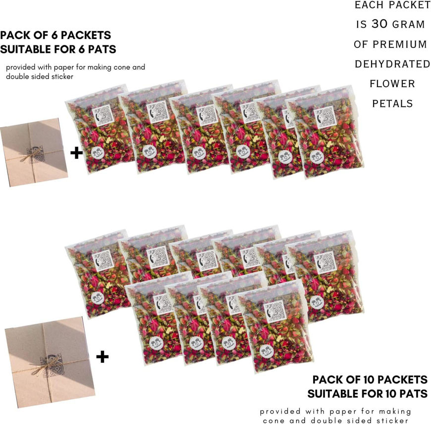 Picture of dried natural petals (6 sachets + 6 conical leaves))