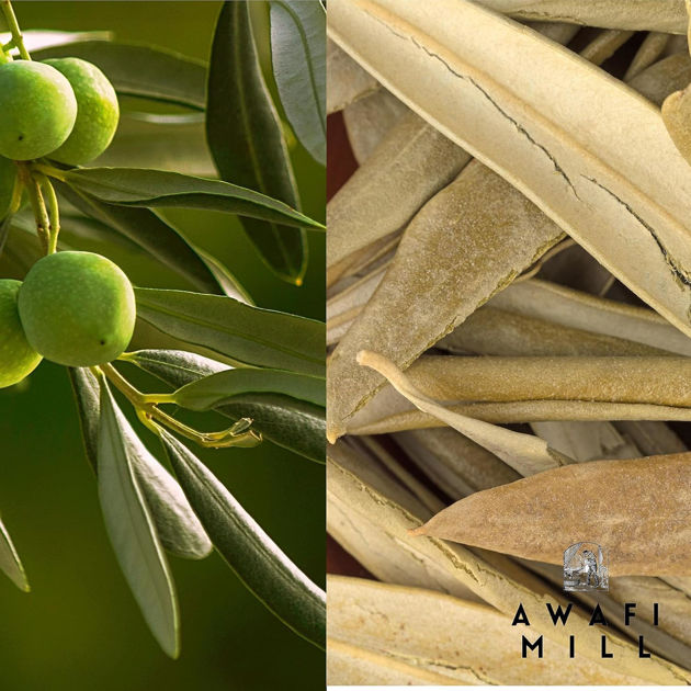 Picture of Herbal tea Greek olive leaves