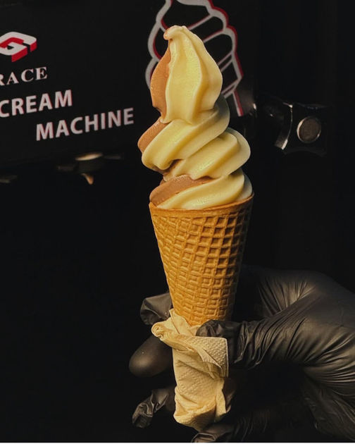 Picture of The single flavor machine0