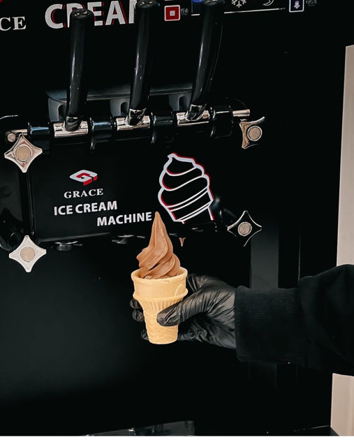 Picture of Dual Flavor Machine1