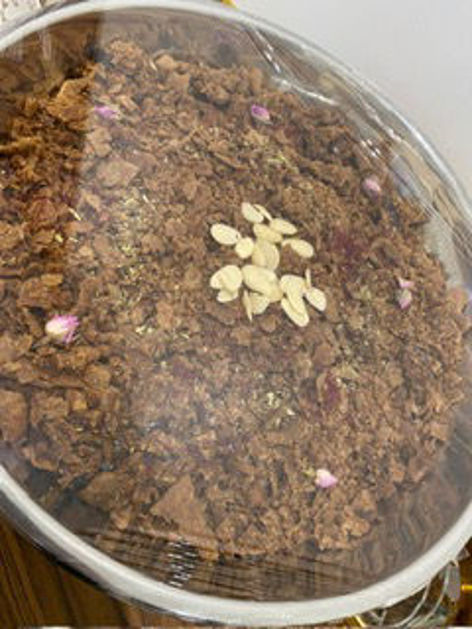 Picture of Small size semolina