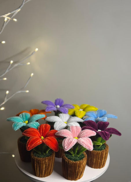 Picture of Small ornamental flowers