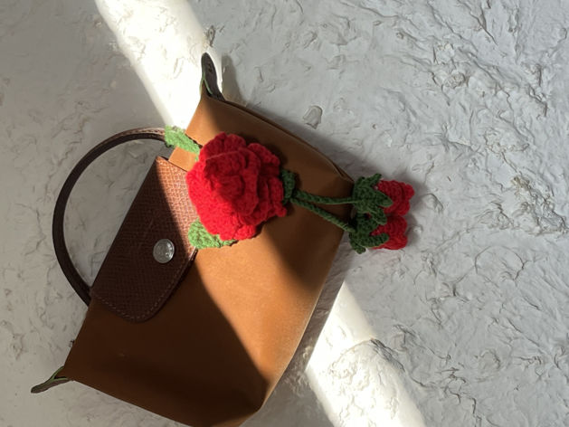 Picture of Rose comment 