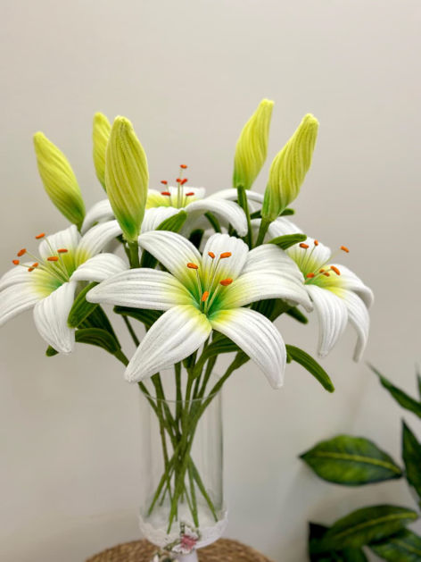 Picture of Night roses