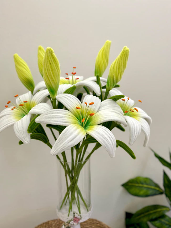 Picture of Night roses