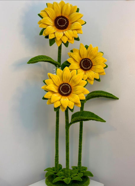 Picture of Sunflower Satad