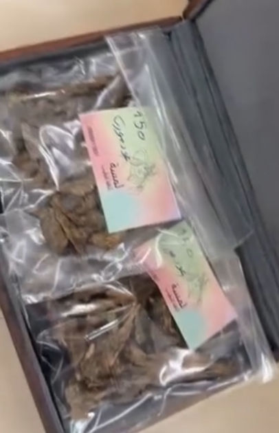 Picture of Cambodian oud quarter of a tula