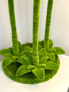 Picture of Sunflower Satad