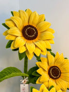 Picture of Sunflower Satad