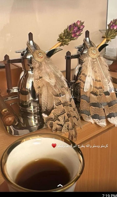 Picture of State commentary of the Houbara Bearish