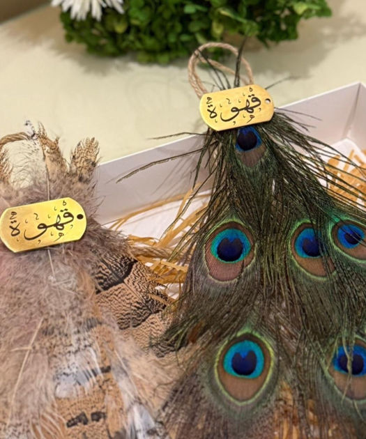 Picture of Commentary of the State of the Houbara Beard with the Peacock