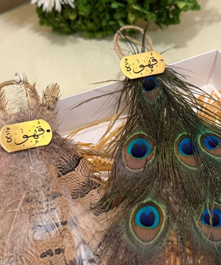 Picture of Commentary of the State of the Houbara Beard with the Peacock