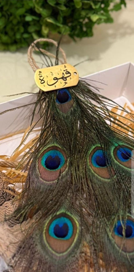 Picture of Commentary of the peacock feather state 