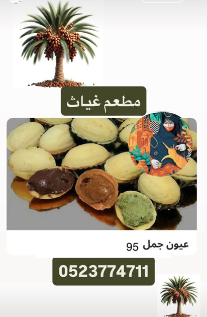 Picture of Ein Camel