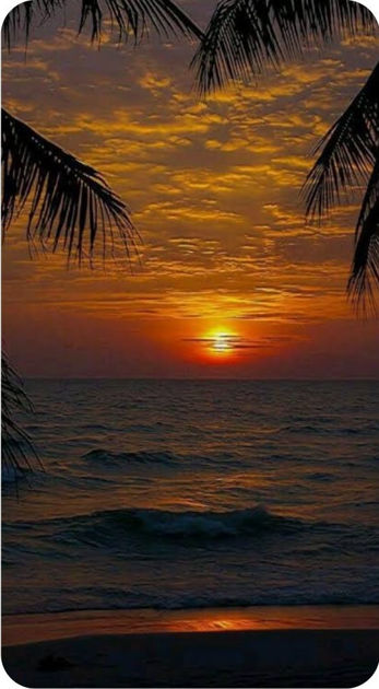 Picture of Sunset photo 