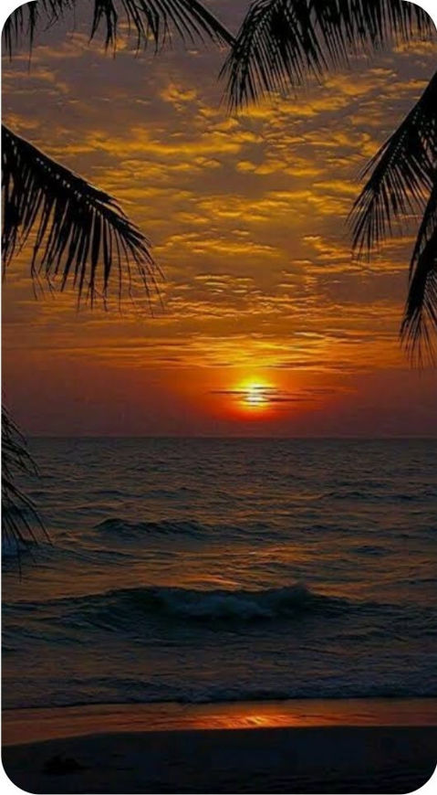 Picture of Sunset photo 