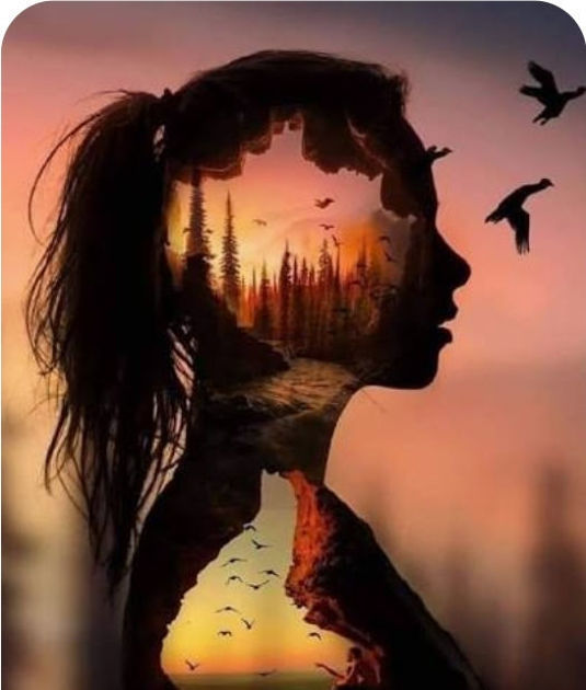 Picture of Sunset Moment Painting with Birds