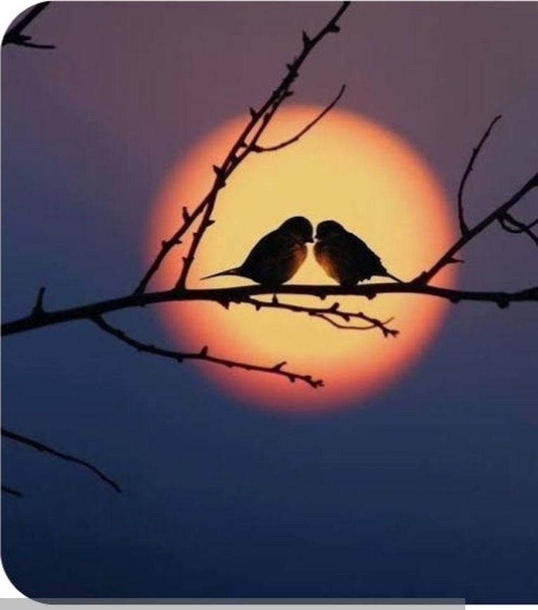 Picture of Sunset Moment Painting 