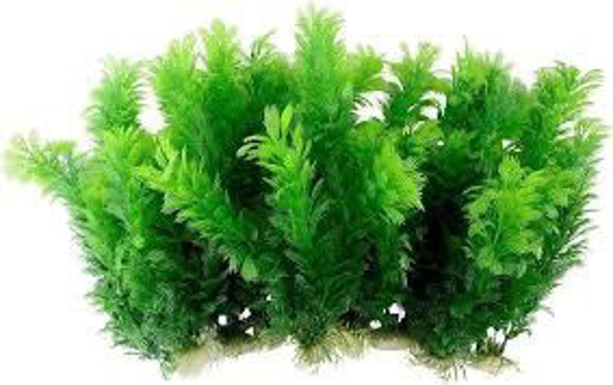 Picture of 12 seaweed aquarium decorations