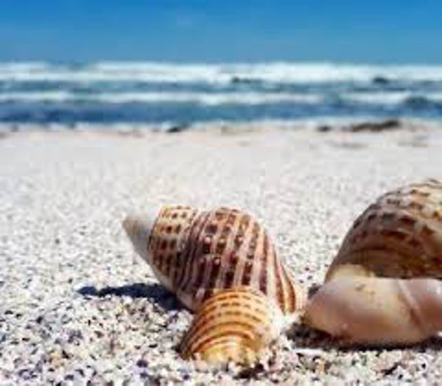 Picture of Wall décor 