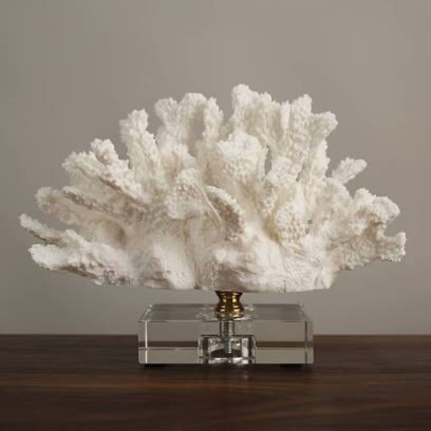 Picture of Coastal coral reefs