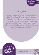 Picture of Scented Hand Cream