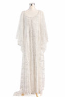 Picture of Embroidered lace dress and condor