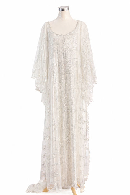 Picture of Embroidered lace dress and condor