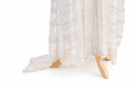 Picture of Embroidered lace dress and condor