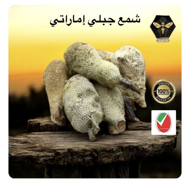 Picture of شمع جبلي إماراتي